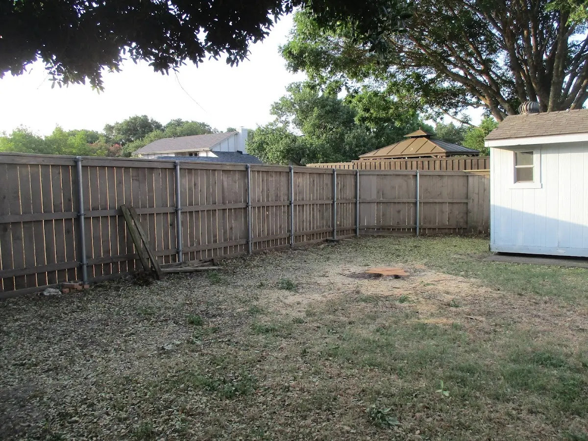 Cleared yard after professional tree removal in Grayslake